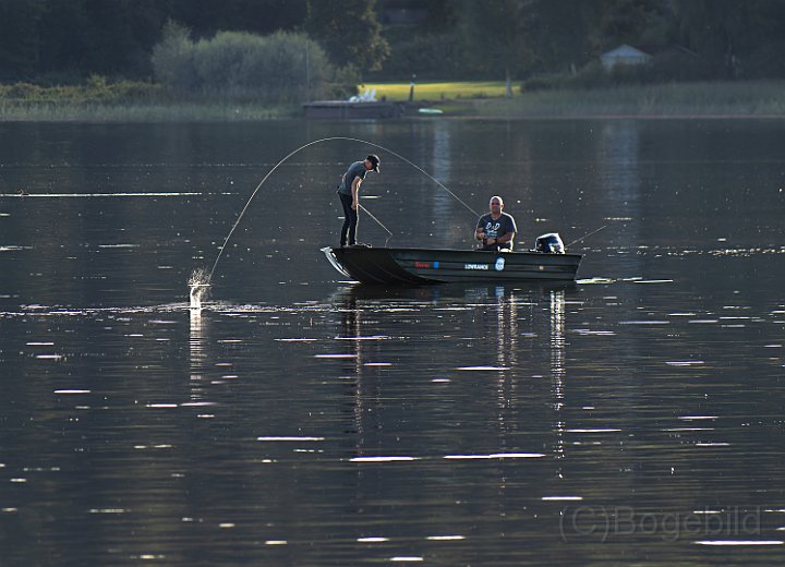 Fiske4 Åsunden.jpg